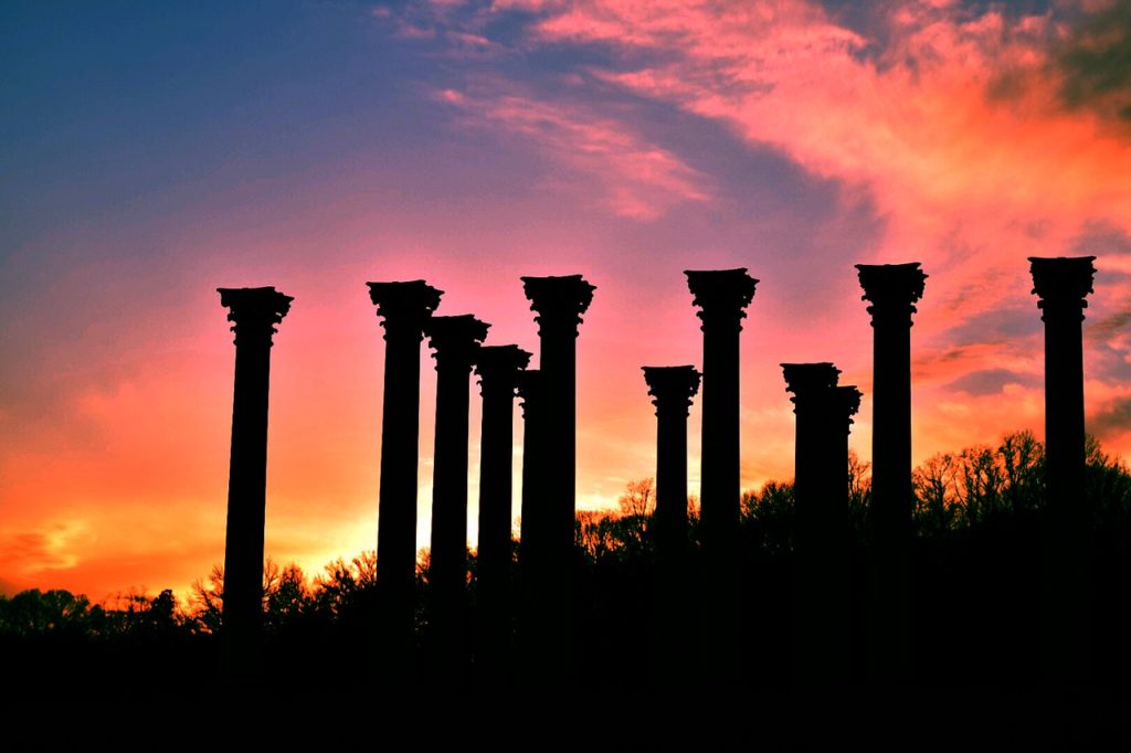 The National Arboretum