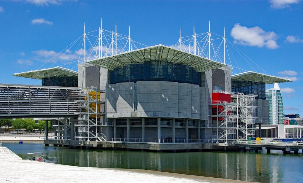 Lisbon Oceanarium