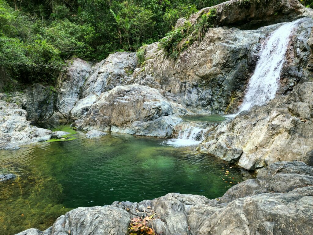 Puerto Rico's Rainforest Beauty