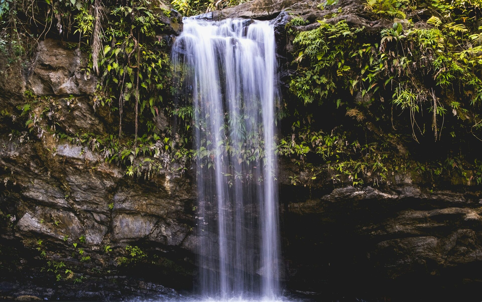 El Yunque National Forest