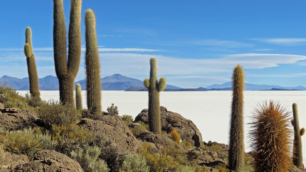 Isla Incahuasi